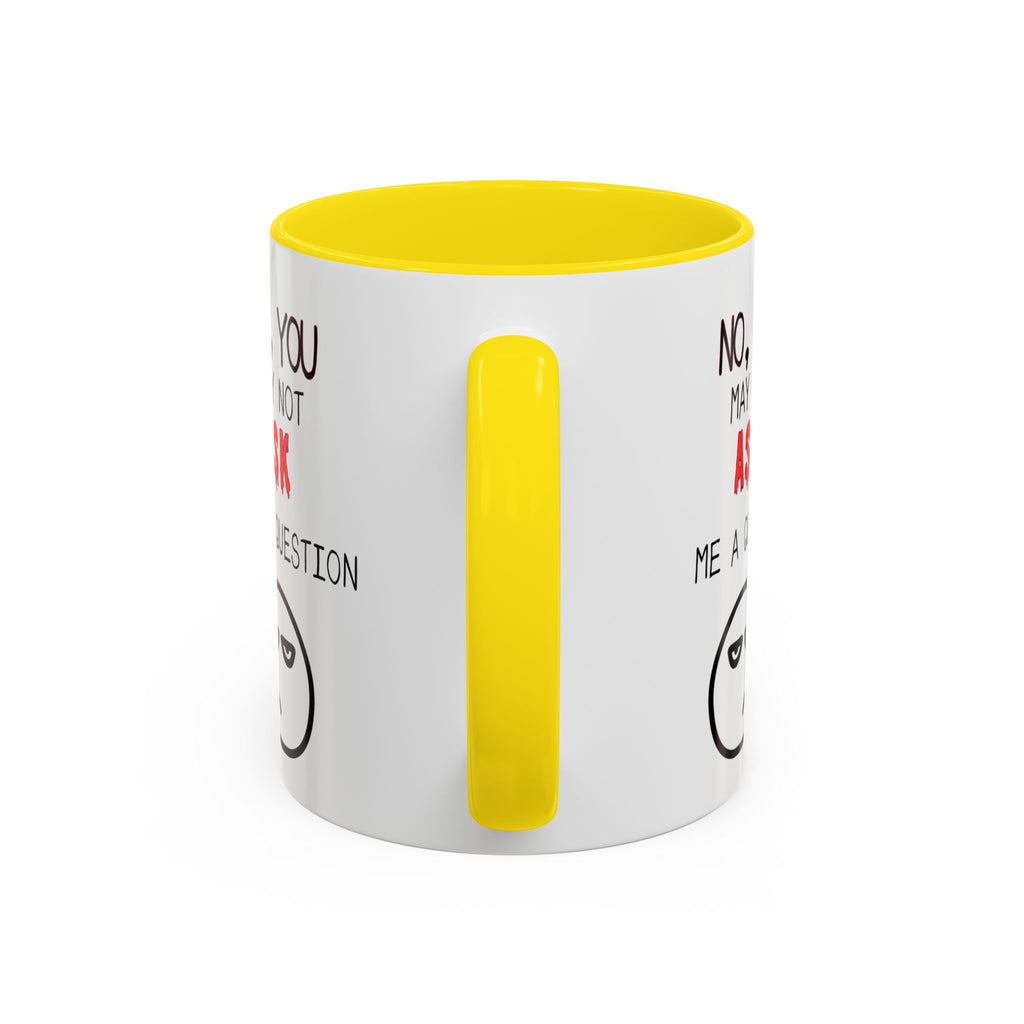 "No, You May Not Ask Me A Question" Sarcastic Coffee Mug, Great Office Gift