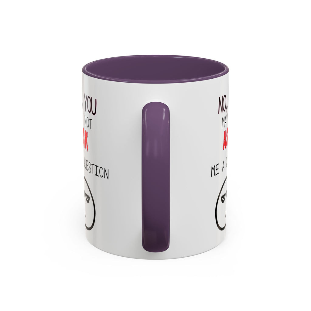 "No, You May Not Ask Me A Question" Sarcastic Coffee Mug, Great Office Gift