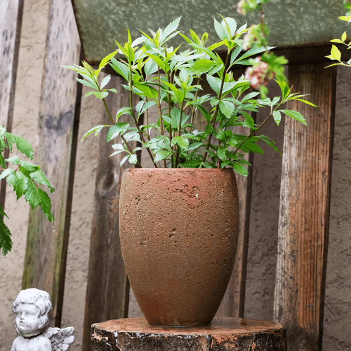 Tall Cement Plant Pot