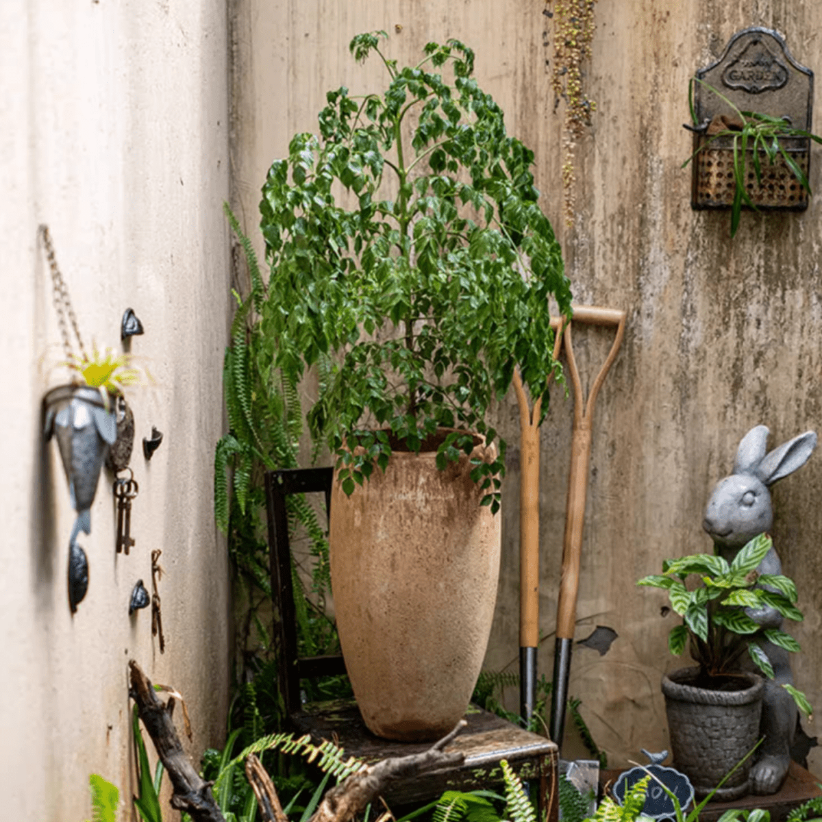 Tall Cement Plant Pot