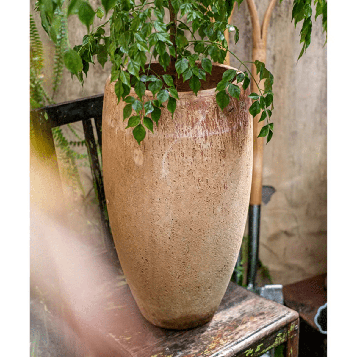 Tall Cement Plant Pot