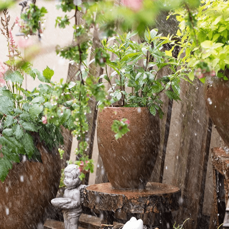 Tall Cement Plant Pot
