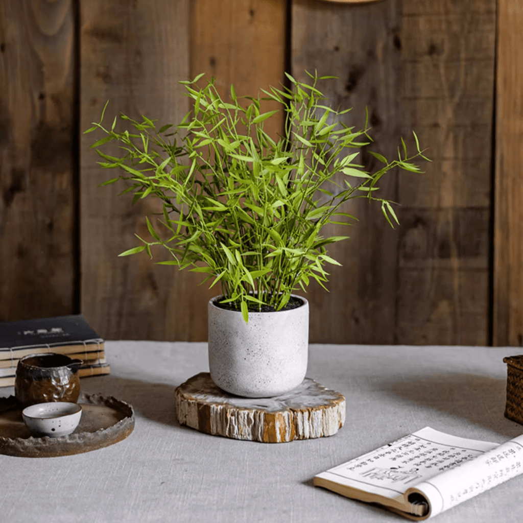 Mini Bamboo Leaf Potted Plant