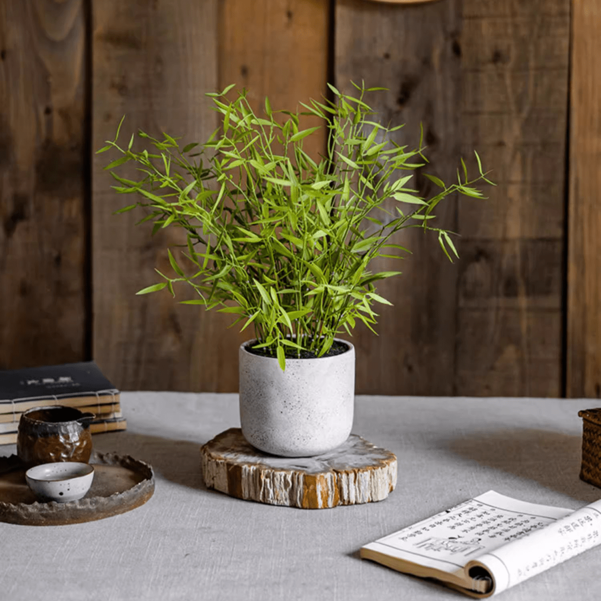 Mini Bamboo Leaf Potted Plant