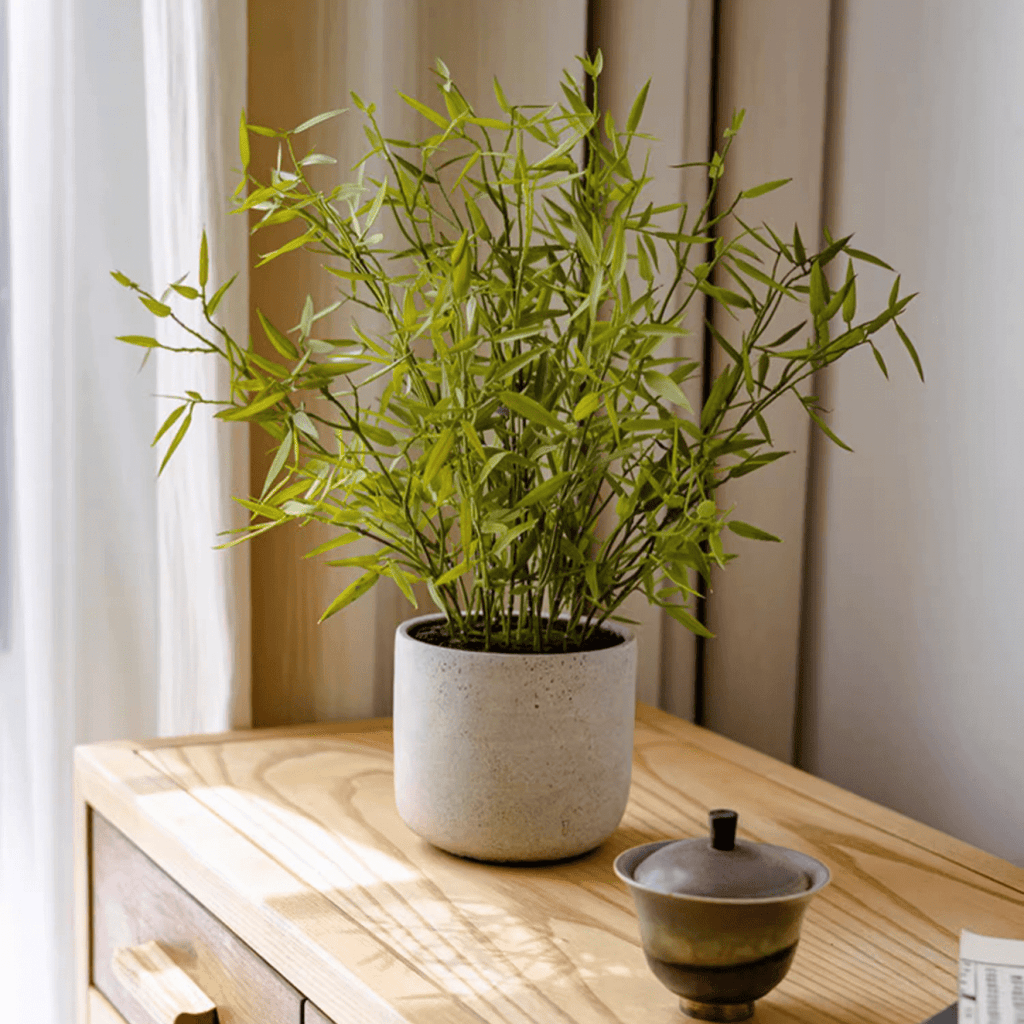 Mini Bamboo Leaf Potted Plant