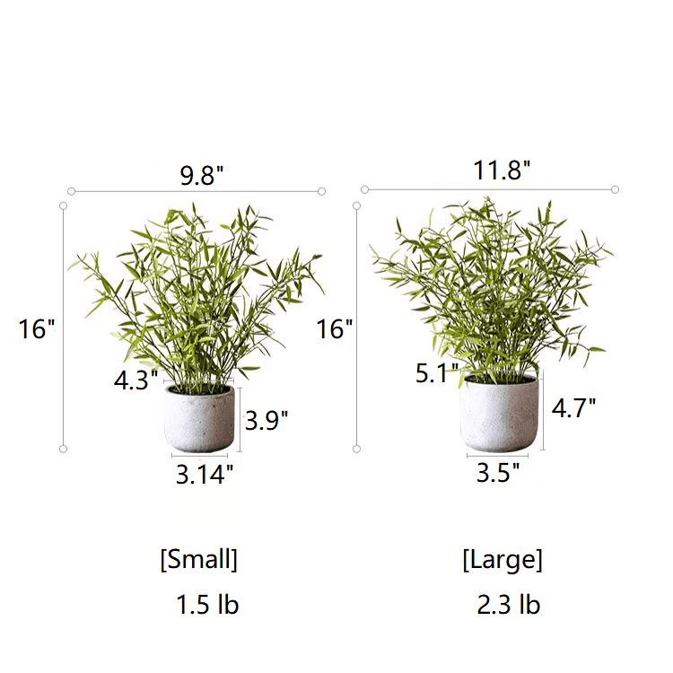 Mini Bamboo Leaf Potted Plant