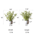 Mini Bamboo Leaf Potted Plant