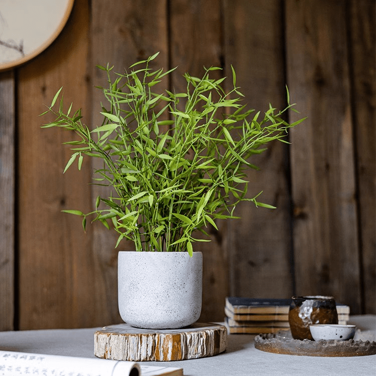 Mini Bamboo Leaf Potted Plant