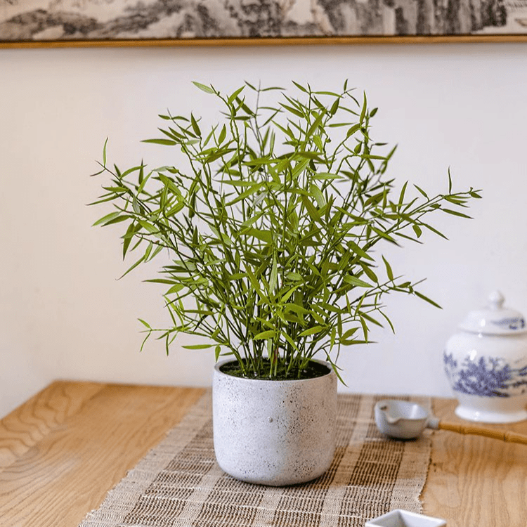 Mini Bamboo Leaf Potted Plant