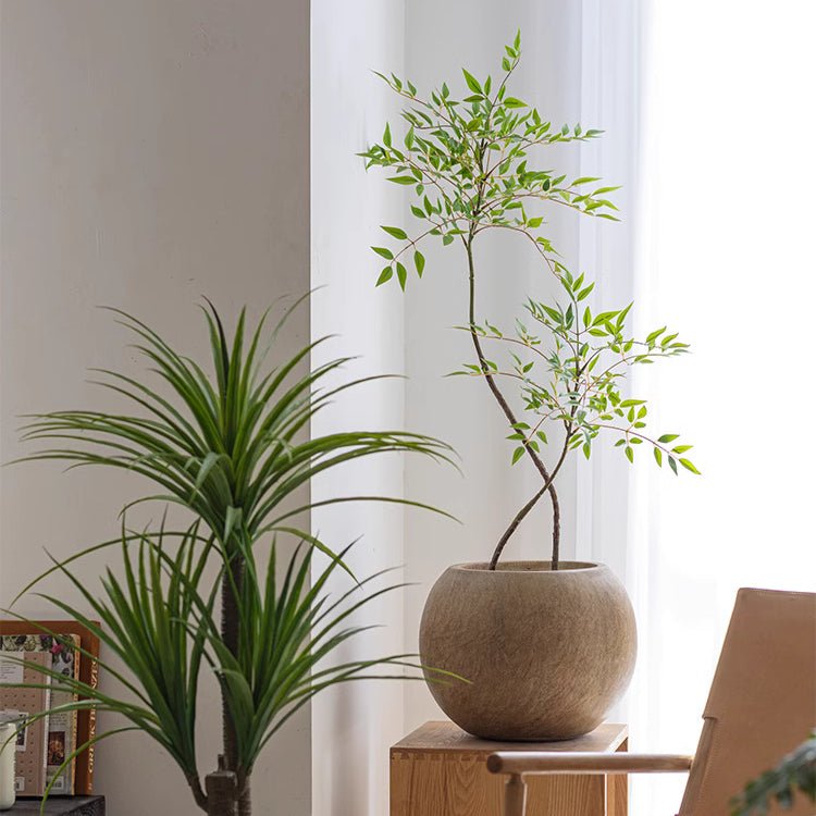 Round Clay Planter