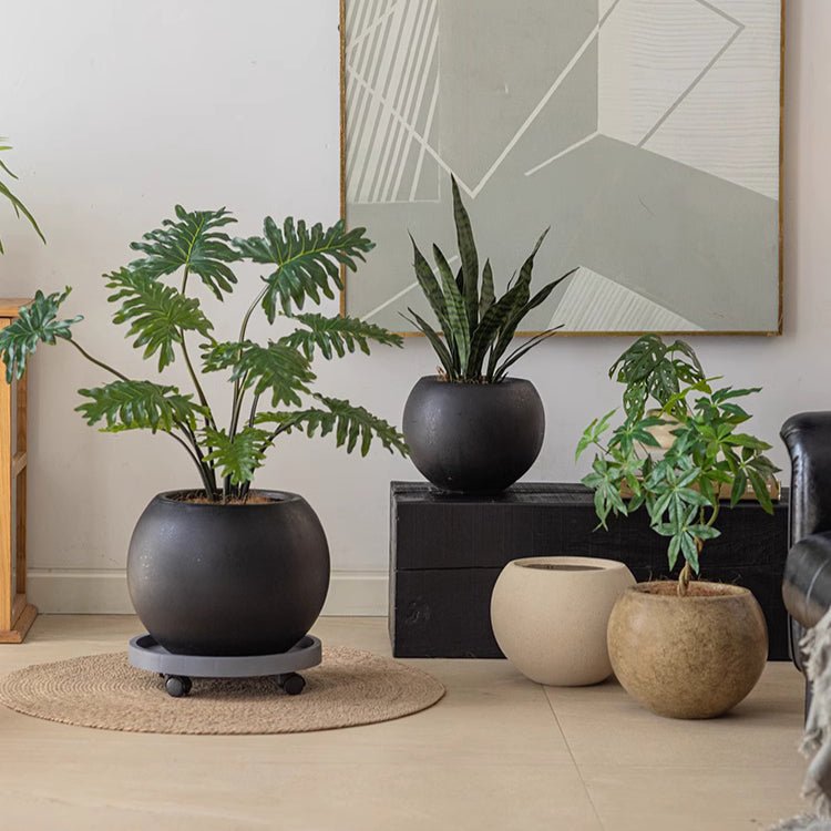 Round Clay Planter