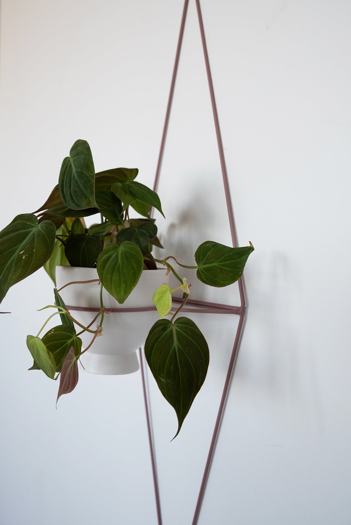 Diamond Eye Wall Planter