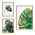 Sylvie Monstera Framed Canvas Art Set – EV Monstera, 582 Monstera & Monstera Leaves