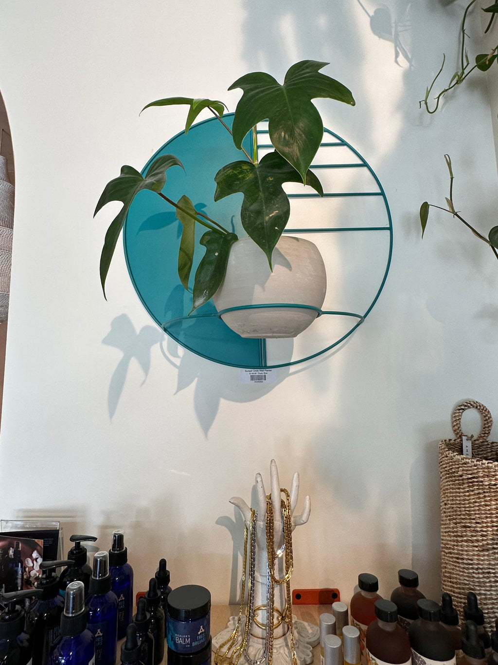 Sunset Circle Wall Planter