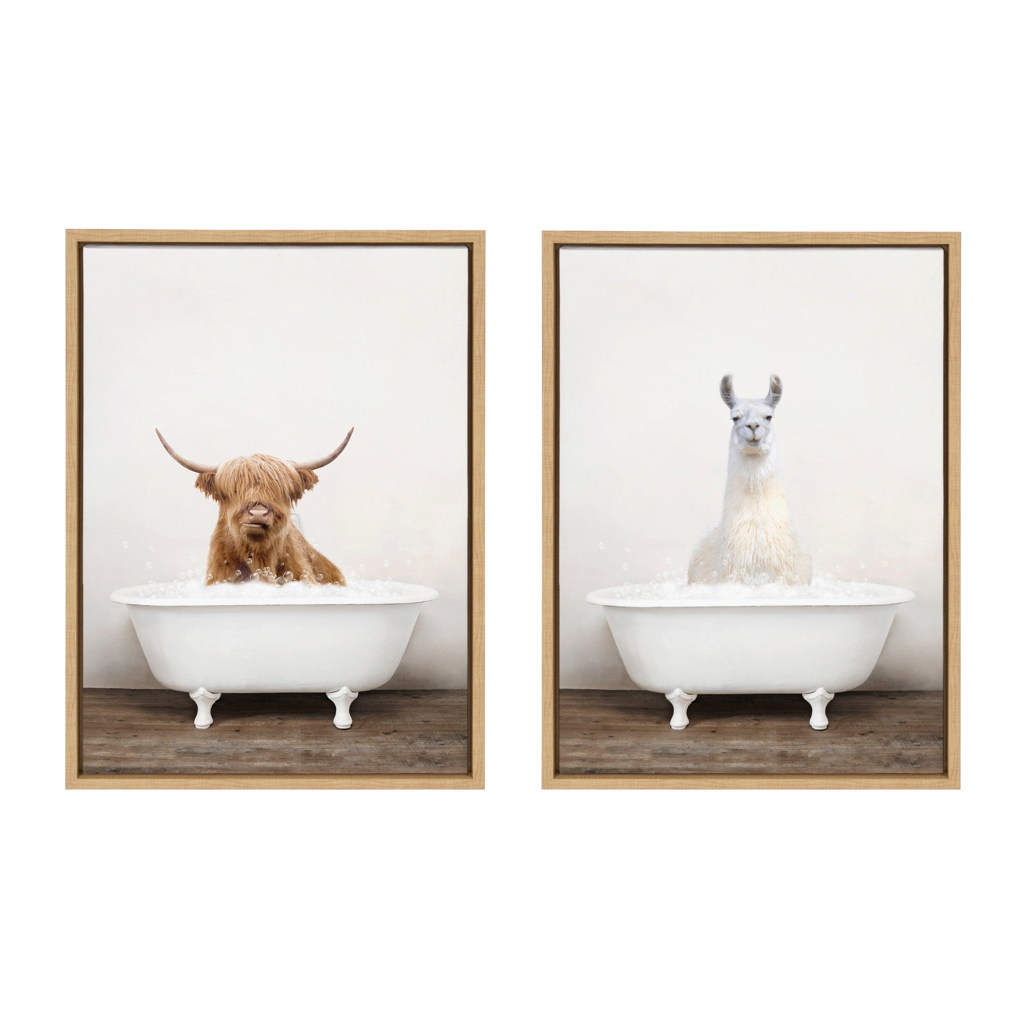 Sylvie Highland Cow & Llama Rustic Bubble Bath Framed Canvas Art Set by Amy Peterson